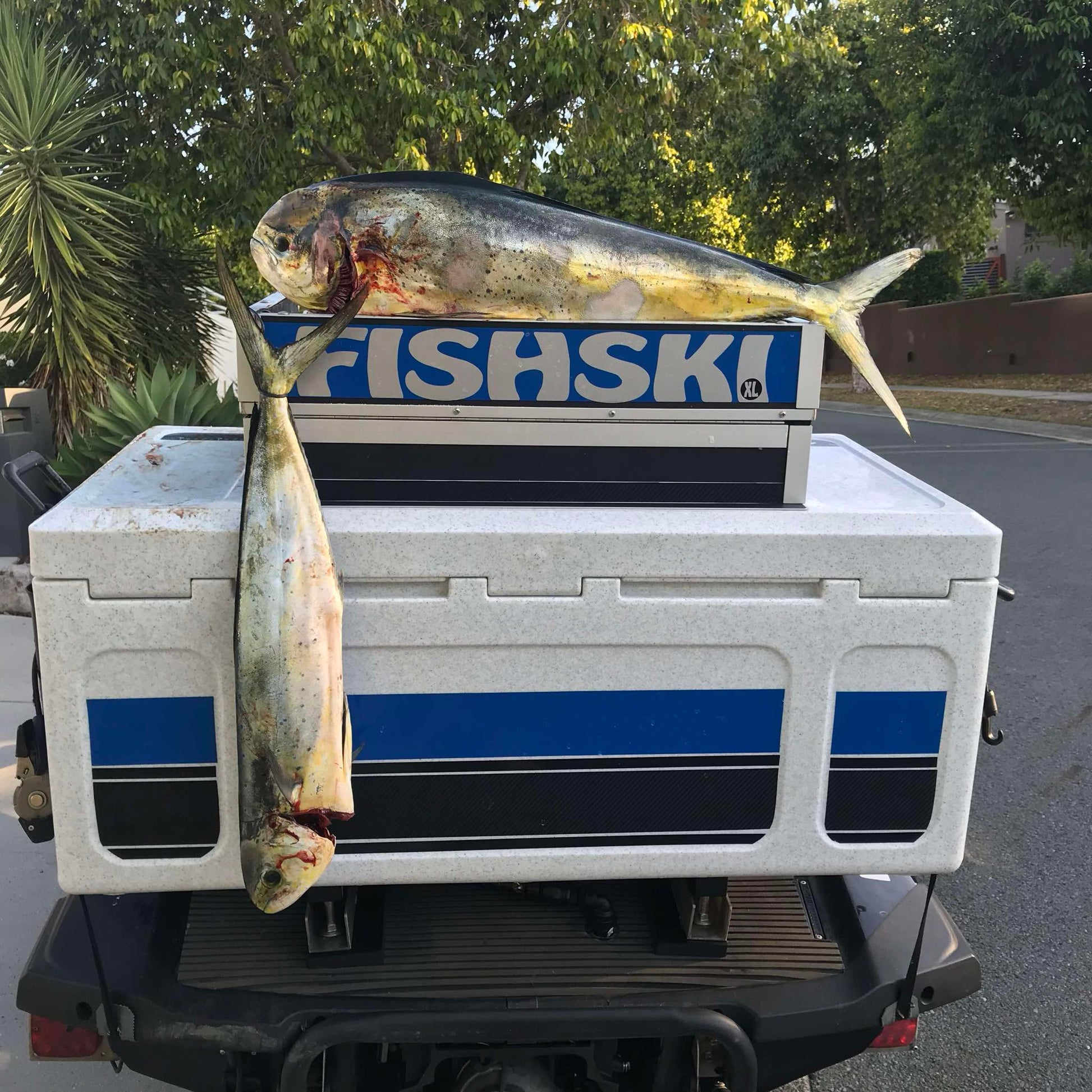 boat fish boxes Fishski Pelagic 92 Pro
